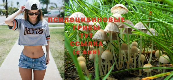 гашик Абдулино