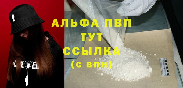 шишки Дмитриев