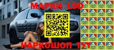 мяу мяу мука Нальчик