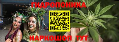 мяу мяу мука Нальчик