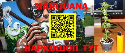 мяу мяу мука Нальчик