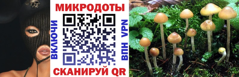 Галлюциногенные грибы Psilocybe  Богородицк 